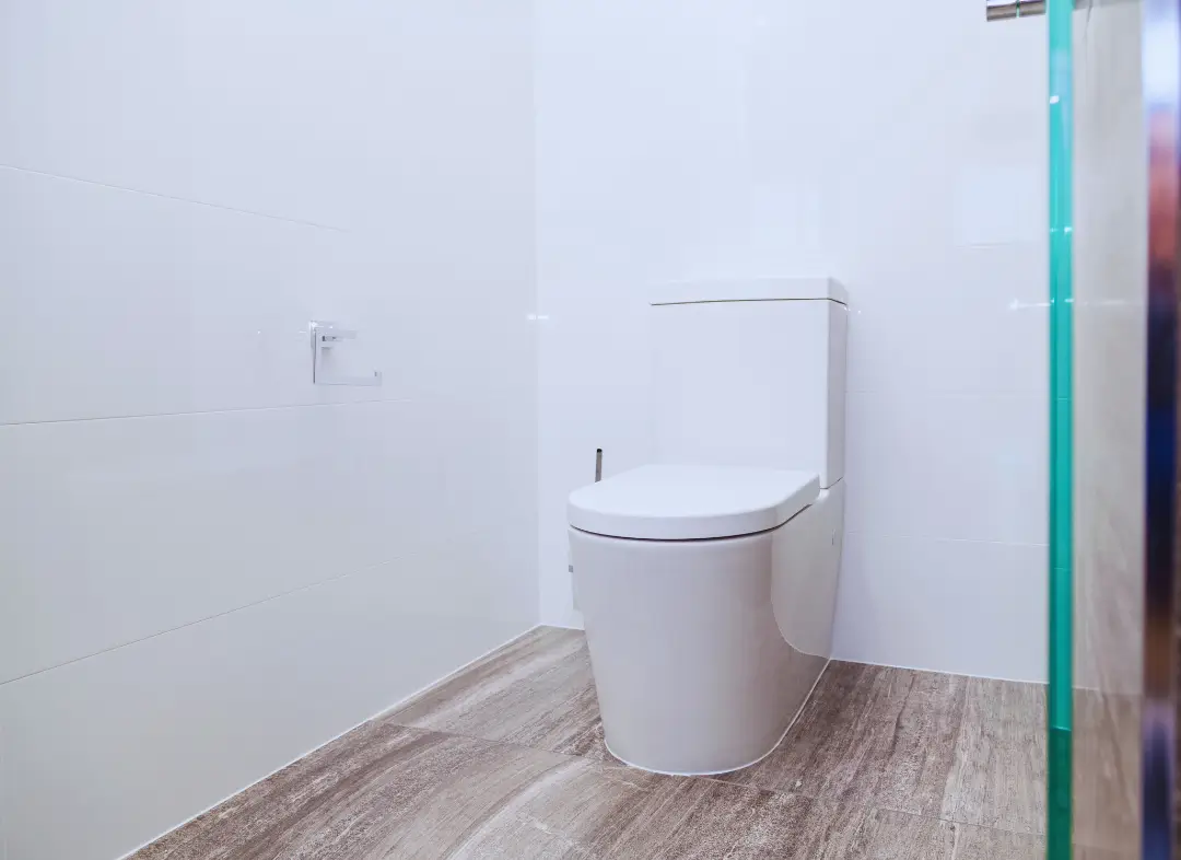 Remplacement de wc Frouzins