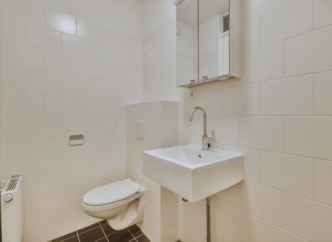 Pose WC Suspendu Frouzins